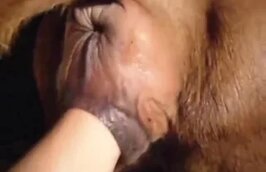 Zoo Sex Name