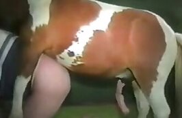 Free ZOO sex video