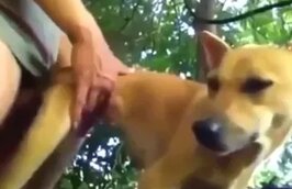 Zoo Sex Videos