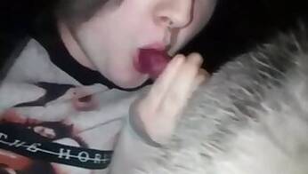 Amateur animal porn