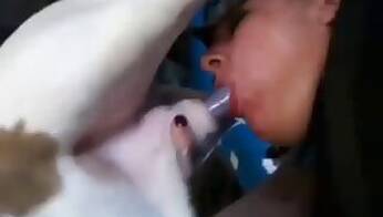 Amateur animal porn