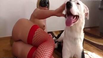 Anal animal xxx