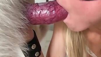 Busty animal sex