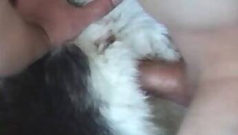 Busty animal xxx