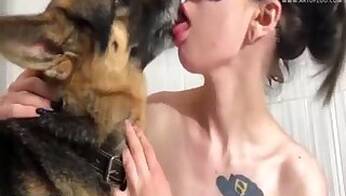 Cow animal sex