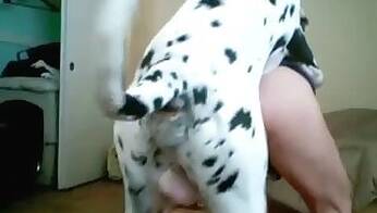 Fucking animal tube
