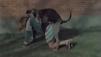 Homemade animal sex