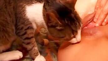 Milf animal sex