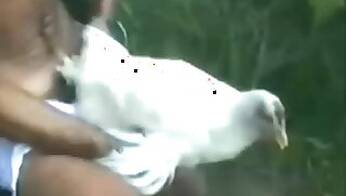 Outdoor animal porn
