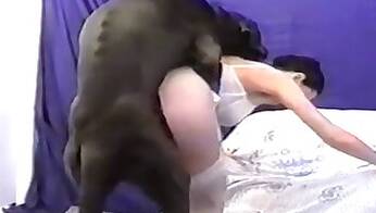 Zoo sex and animal porn videos