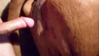 Zoo Porn Clips