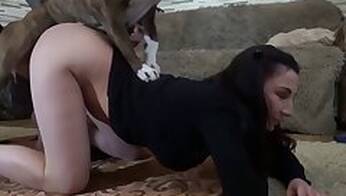 Blog about zoo porn