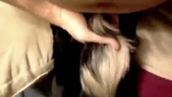 Zoo Porn Videos