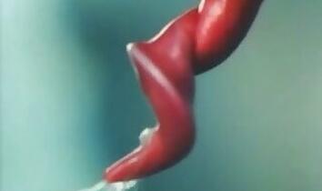 3d animal sex