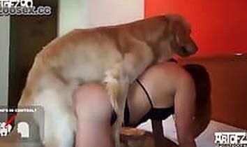 Animal Porn Tube. Free bestiality video