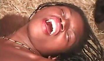 Animal Porn Videos for Free