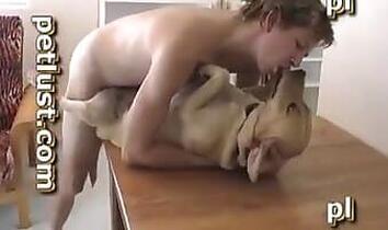 Free Animal Sex Porn Tube