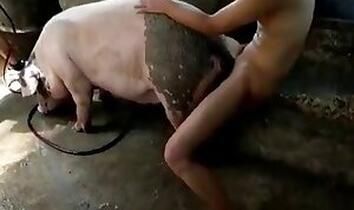Animal sex and Zoo XXX porn
