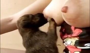Dogs animal tube porn