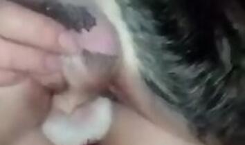 FreePornZoo