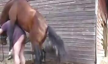 Fucking bestiality tube