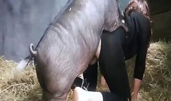Mature animal sex