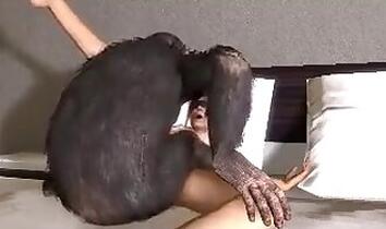 Zoo porno and bestiality video