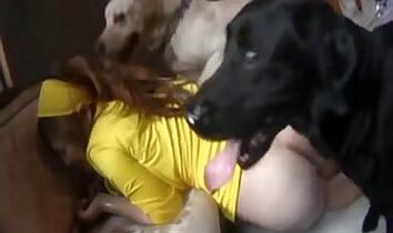Woman bestiality xxx
