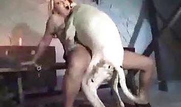 Zoofilia Porn video