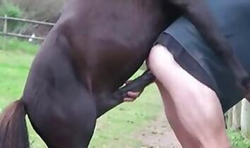 Free Zoo Porn with Dog