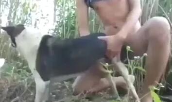 Zoo Sex Videos