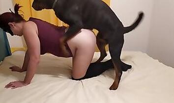 Free Zoo Sex Tube