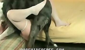 ZooTubeRed