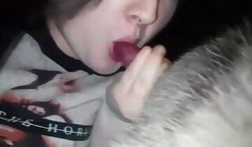 Amateur animal porn