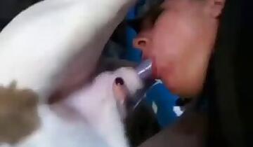 Amateur animal porn