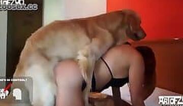 Animal Porn Tube. Free bestiality video