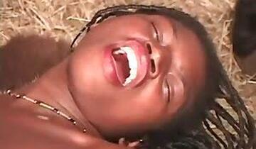 Animal Porn Videos for Free
