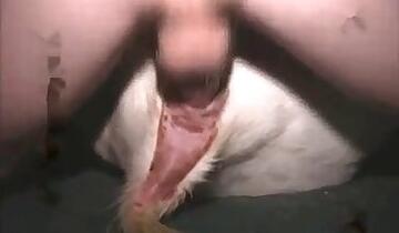 Asian animal xxx