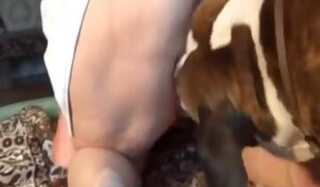 Fucking animal sex
