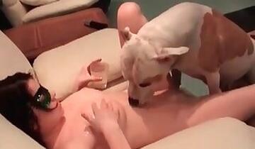 Fucking animal tube