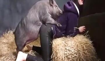 Milf animal sex
