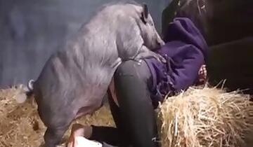 Pussy animal sex