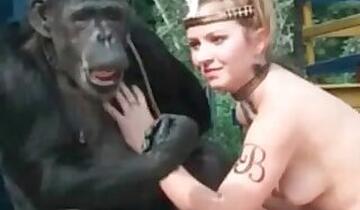Stallion bestiality xxx