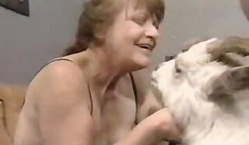Woman animal xxx