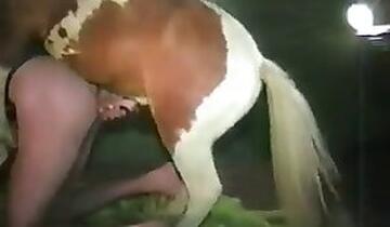 XXX Zoo Porn. Free zoo porn