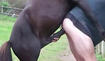 Free Zoo Porn with Dog