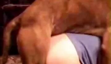 Raw Zoo Sex