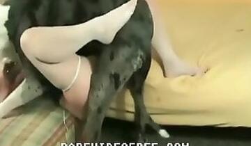 ZooTubeRed
