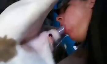 Amateur animal porn