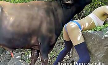 Animal Porn Website